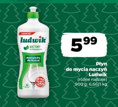 Płyn do mycia naczyń Ludwik (różne rodzaje) promocja w Netto