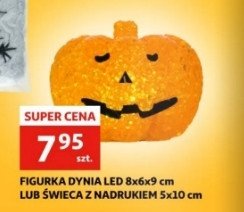 Dynia led promocja