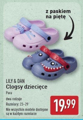 Clogsy chłopięce 23-29 Lily & dan promocja