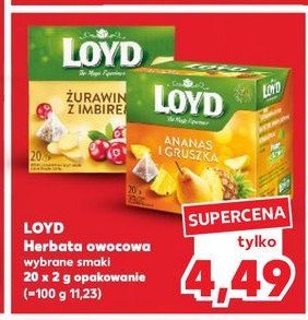 Herbata żurawina z imbirem Loyd tea the magic experience promocja