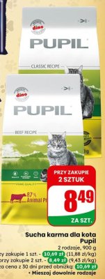 Karma sucha dla kota 2 rodzaje promocja w Dino