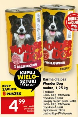 Karma dla psa Wonder Dog mokra, 1,25 kg promocja w Twój Market
