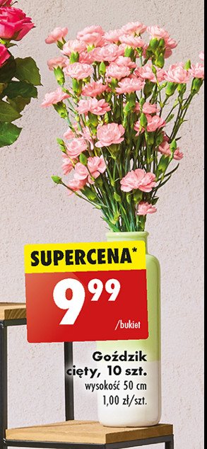 Goździki promocja w Biedronka