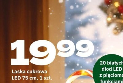 Laska cukrowa LED promocja w Twój Market