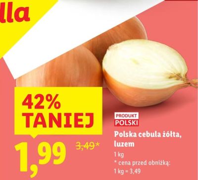 Cebula żółta, luzem promocja w Lidl