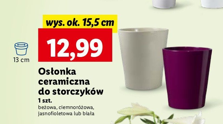 Osłonka do storczyka 13 cm promocja