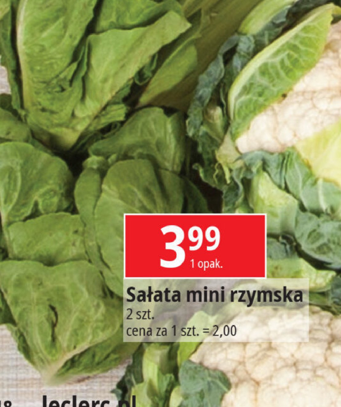 Sałatka rzymska mini promocja