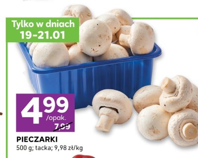 Pieczarki 500 g promocja w Stokrotka