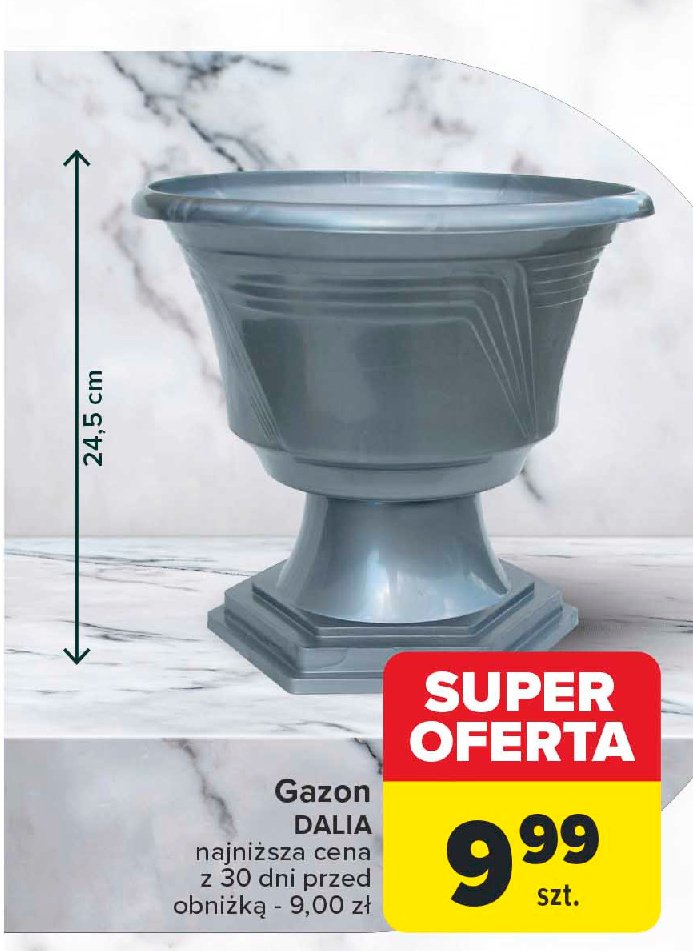 Gazon dalia śr 26 wys 24 cm promocja w Carrefour Market