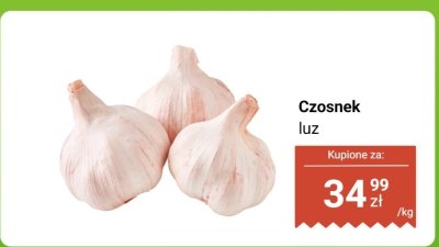 Czosnek luz promocja w Dino