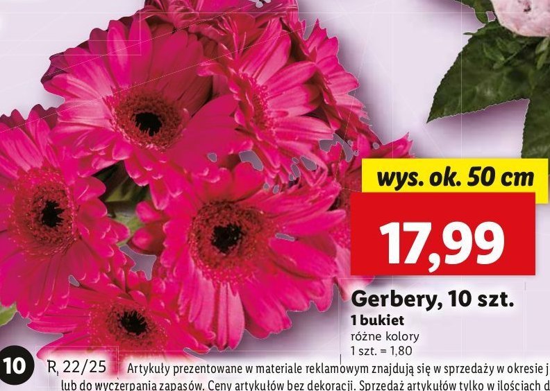 Gerbery promocja