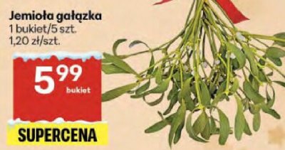 Jemioła gałązka promocja w Delikatesy Centrum