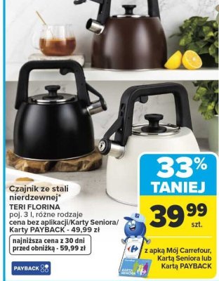 Czajnik ze stali nierdzewnej TERI FLORINA poj. 3 l, różne rodzaje promocja w Carrefour