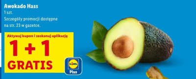 Awokado Hass promocja w Lidl