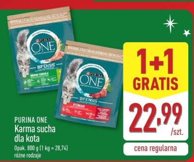 Karma sucha dla kota PURINA ONE różne rodzaje promocja w Aldi