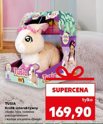 Królik interaktywny promocja w Kaufland