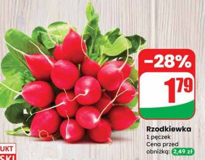 Rzodkiewka promocja w Dino