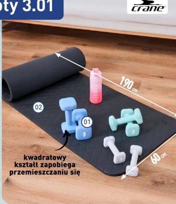 Zestaw hantli CRANE promocja w Aldi