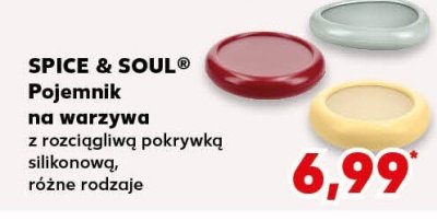 Pojemnik na warzywa promocja w Kaufland