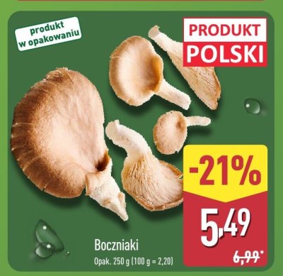 Boczniaki promocja w Aldi