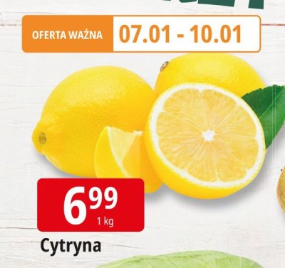 Cytryna promocja w Leclerc