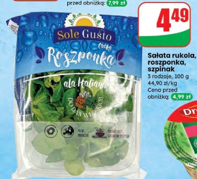 Sałata rukola, roszponka, szpinak Sole Gusto promocja w Dino