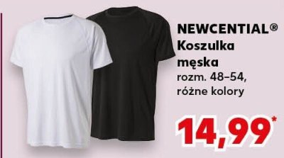 Koszulka męska różne kolory promocja w Kaufland