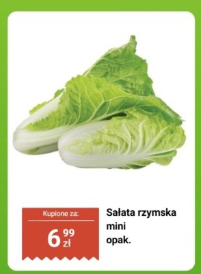 Sałata rzymska mini opak. promocja w Biedronka