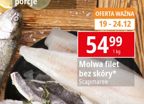 Molwa filet bez skóry promocja w Leclerc