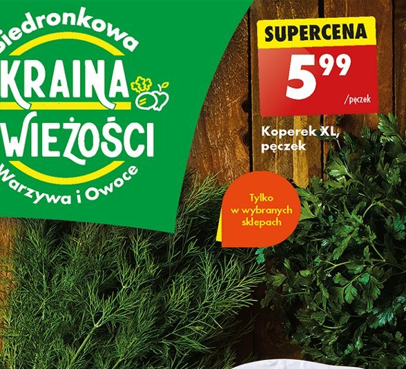 Koperek xl promocja