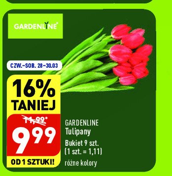 Tulipany GARDEN LINE promocja