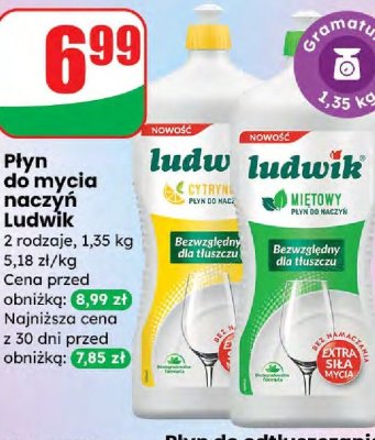Płyn do mycia naczyń  miętowy promocja w Dino
