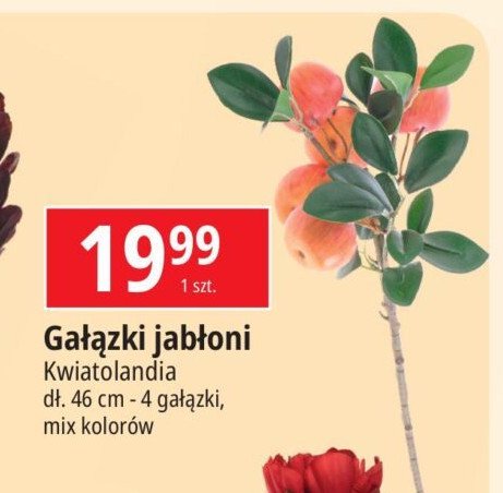 Gałązka jabłoni 46 cm Kwiatolandia promocja