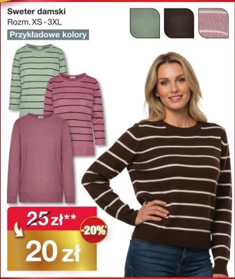 Sweter damski różne kolory promocja w Woolworth