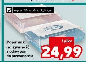 Pojemnik na żywność 45 x 35 x 10.5 cm promocja