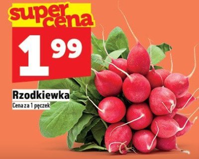 Rzodkiewka promocja w TOPAZ