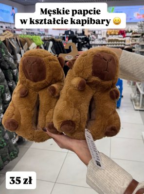 Męskie kapcie kapibary promocja w Pepco