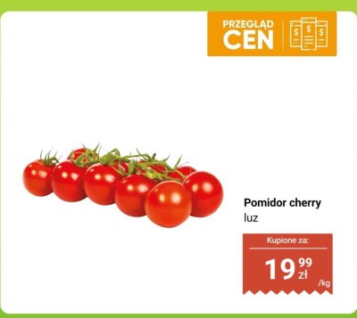 Pomidor cherry luz promocja w Dino