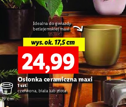Os艂onka ceramiczna maxi z艂ota promocja