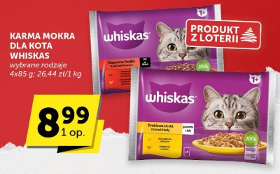 Karma mokra dla kota Whiskas wybrane rodzaje promocja w ABC