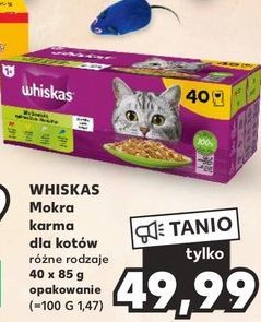 Potrawka w galaretce z kurczakiem Whiskas promocja