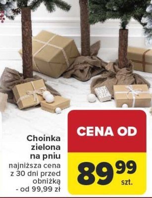 Choinka zielona na pniu promocja w Carrefour