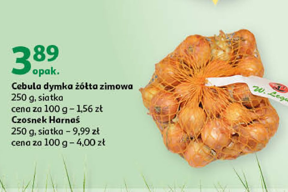 Czosnek harna艣 W. legutko promocja