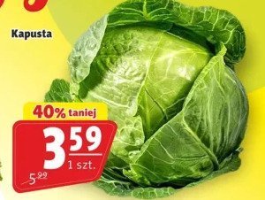 Kapusta czerwona promocja w Prim Market