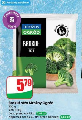 Brokuł róża Mroźny Ogród promocja w Dino