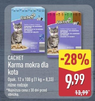 Karma mokra dla kota CACHET promocja w Aldi