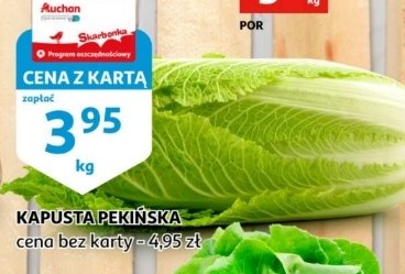 Kapusta pekińska promocja