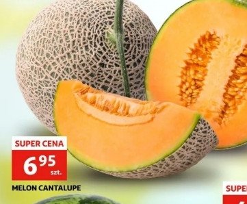 Melon cantaloupe promocja