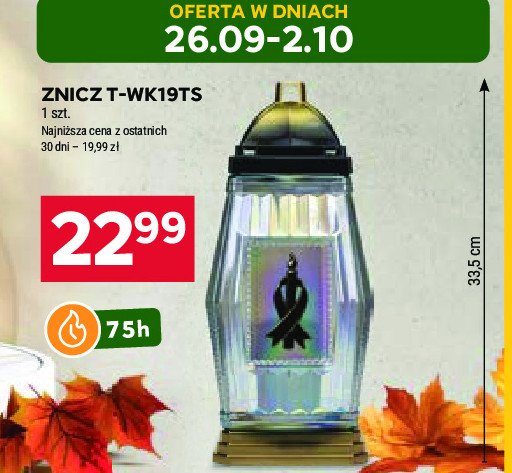 Znicz t-wk19ts promocja