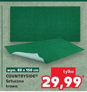 Sztuczna trawa 80 x 150 cm K-classic countryside promocja w Kaufland